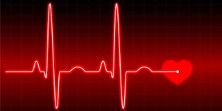 Heart Rate Monitor. Pixabay